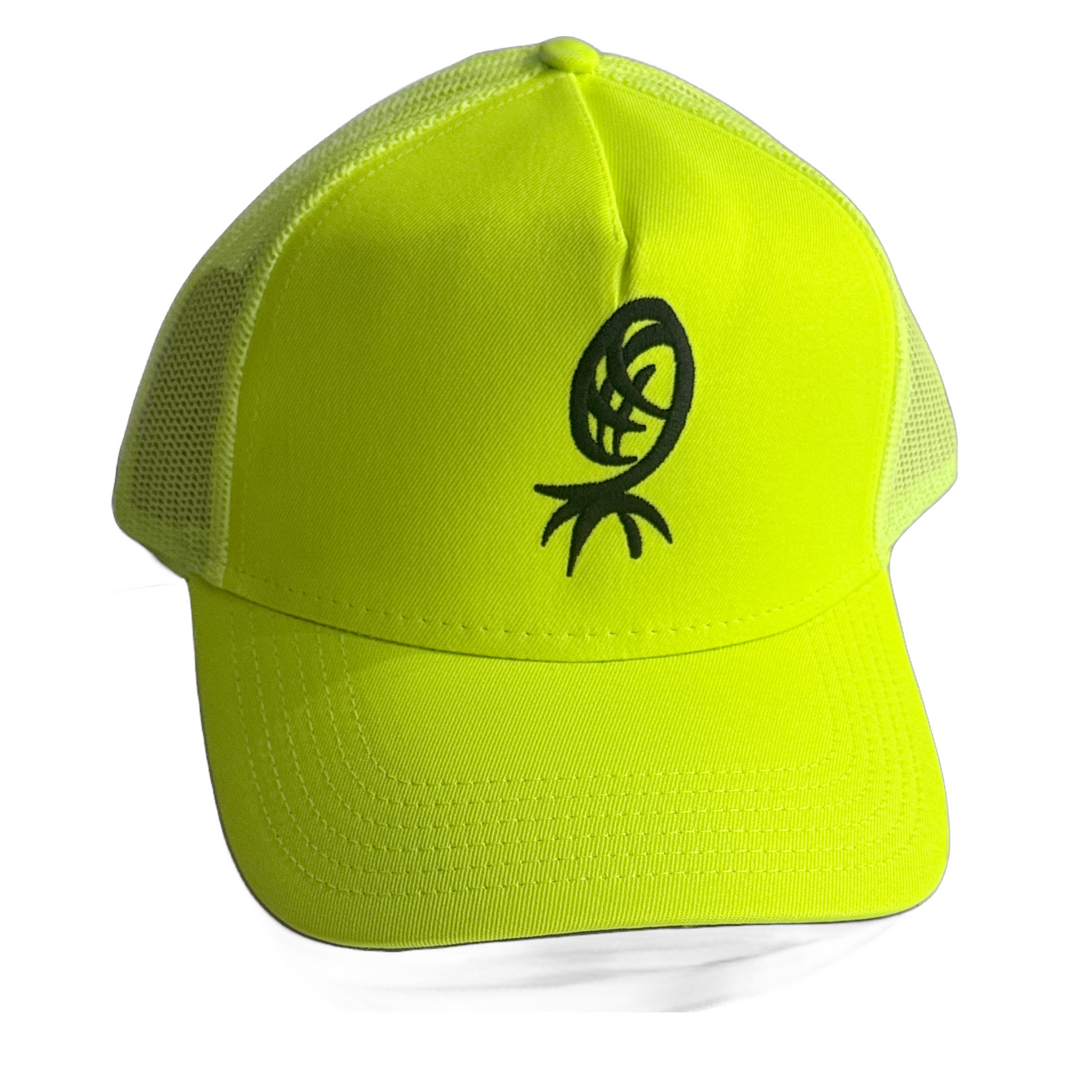 Hat with Swinger logo