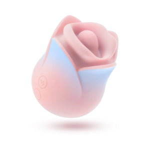 Blush Collection Kissing Rose