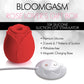 Bloomgasm La Caja de Regalo Para los Amantes de las Rosas