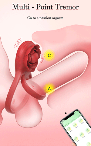 Rose Ring With App