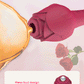 Wand Rose