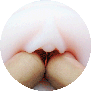 Lovense Max 2 y Max 2 Vagina Sleeve Combo