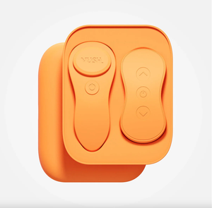 Vush Panty Vibrator