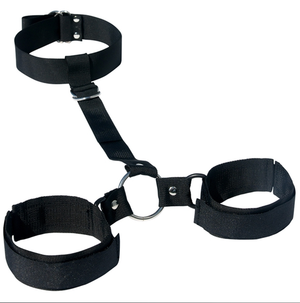 S&M Neck and Wrist Restraint