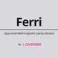 Ferri Lovense